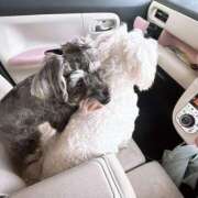 ヒメ日記 2026/03/06 09:12 投稿 ともえ 女の子がセルフで撮影する店！！成田デリヘル『生パネル』伝説