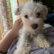 ヒメ日記 2026/03/17 13:51 投稿 ともえ 女の子がセルフで撮影する店！！成田デリヘル『生パネル』伝説