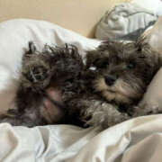 ヒメ日記 2026/03/19 14:06 投稿 ともえ 女の子がセルフで撮影する店！！成田デリヘル『生パネル』伝説