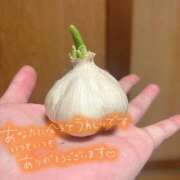 ヒメ日記 2026/03/21 03:33 投稿 ともえ 女の子がセルフで撮影する店！！成田デリヘル『生パネル』伝説