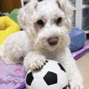 ヒメ日記 2026/03/31 19:12 投稿 ともえ 女の子がセルフで撮影する店！！成田デリヘル『生パネル』伝説