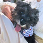 ヒメ日記 2026/04/12 03:33 投稿 ともえ 女の子がセルフで撮影する店！！成田デリヘル『生パネル』伝説