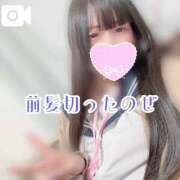 ヒメ日記 2026/02/22 22:50 投稿 よる 電車ごっこ