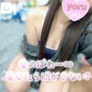 ヒメ日記 2026/03/24 20:50 投稿 よる 電車ごっこ