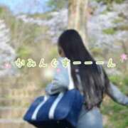 ヒメ日記 2026/04/03 17:20 投稿 よる 電車ごっこ