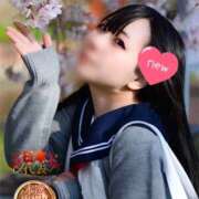 ヒメ日記 2026/04/12 08:00 投稿 よる 電車ごっこ