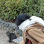 ヒメ日記 2026/04/29 07:30 投稿 よる 電車ごっこ