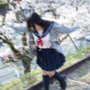 ヒメ日記 2026/04/30 08:20 投稿 よる 電車ごっこ