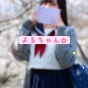 ヒメ日記 2026/04/30 20:40 投稿 よる 電車ごっこ