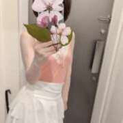 ヒメ日記 2026/03/23 23:50 投稿 桜乃こゆき 麗しいマダム