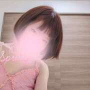 ヒメ日記 2026/04/03 20:55 投稿 桜乃こゆき 麗しいマダム