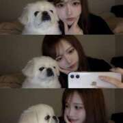 ヒメ日記 2026/01/24 14:50 投稿 織花/おりか プロフィール姫路