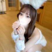 ヒメ日記 2026/02/21 13:44 投稿 姫乃かれん ブルーバード