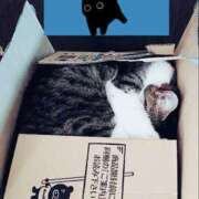 ヒメ日記 2026/02/11 12:00 投稿 さやか Queen Angel(クイーンエンジェル)