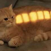 ヒメ日記 2026/02/11 16:10 投稿 さやか Queen Angel(クイーンエンジェル)