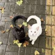 さやか ありがとうございました！ Queen Angel(クイーンエンジェル)