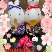 ヒメ日記 2026/03/03 14:30 投稿 さやか Queen Angel(クイーンエンジェル)