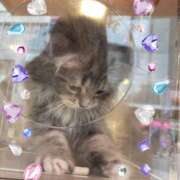 ヒメ日記 2026/03/07 12:00 投稿 さやか Queen Angel(クイーンエンジェル)