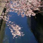 ヒメ日記 2026/03/12 22:00 投稿 さやか Queen Angel(クイーンエンジェル)