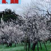 ヒメ日記 2026/03/18 09:45 投稿 さやか Queen Angel(クイーンエンジェル)