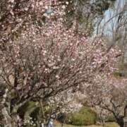 ヒメ日記 2026/03/25 11:50 投稿 さやか Queen Angel(クイーンエンジェル)