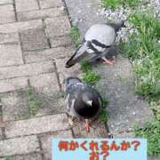 ヒメ日記 2026/03/27 09:49 投稿 さやか Queen Angel(クイーンエンジェル)