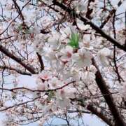 さやか ありがとうございました！ Queen Angel(クイーンエンジェル)