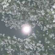 ヒメ日記 2026/04/06 10:32 投稿 さやか Queen Angel(クイーンエンジェル)