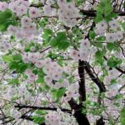 ヒメ日記 2026/04/07 08:11 投稿 さやか Queen Angel(クイーンエンジェル)