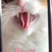 ヒメ日記 2026/05/05 14:45 投稿 さやか Queen Angel(クイーンエンジェル)