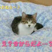 さやか 可愛い? Queen Angel(クイーンエンジェル)