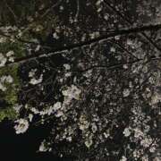 ヒメ日記 2026/03/29 14:19 投稿 一ノ瀬 みう 癒されるワイフ