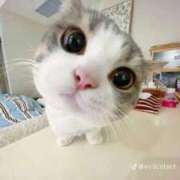 ヒメ日記 2026/02/04 15:28 投稿 春風 きあら Men's relaxation VEGA