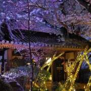 ヒメ日記 2026/06/12 20:58 投稿 春風 きあら Men's relaxation VEGA