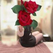 ヒメ日記 2026/03/04 11:29 投稿 五十嵐 真子 プルプルオフィスディーバ