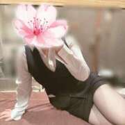 ヒメ日記 2026/03/17 13:09 投稿 五十嵐 真子 プルプルオフィスディーバ