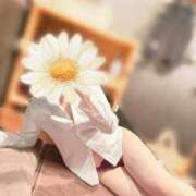 ヒメ日記 2026/04/03 09:18 投稿 五十嵐 真子 プルプルオフィスディーバ