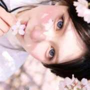 ヒメ日記 2026/03/29 06:59 投稿 あおい ハピネス東京