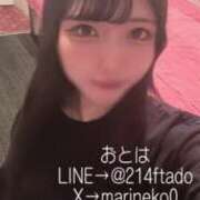 ヒメ日記 2026/01/25 22:00 投稿 おとは JAPAN CLUB BUNNY LOUNGE