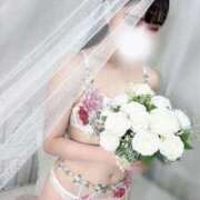 ヒメ日記 2026/01/25 23:00 投稿 おとは JAPAN CLUB BUNNY LOUNGE