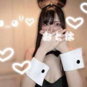 ヒメ日記 2026/02/16 06:00 投稿 おとは JAPAN CLUB BUNNY LOUNGE