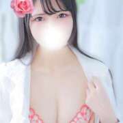 ヒメ日記 2026/02/23 21:02 投稿 おとは JAPAN CLUB BUNNY LOUNGE