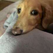 ヒメ日記 2026/01/26 08:03 投稿 あすか 池袋人妻城