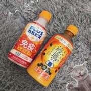 ヒメ日記 2026/02/22 12:33 投稿 ゆずは 立川ちゃんこ