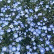 ヒメ日記 2026/05/06 20:58 投稿 みく 京都BOOK MARK（ブックマーク）
