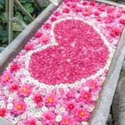 せいか おはようございます 性腺熟女100％鶯谷（デリヘル市場）