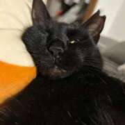 ヒメ日記 2026/03/26 18:26 投稿 かえで 横浜ひよこ倶楽部