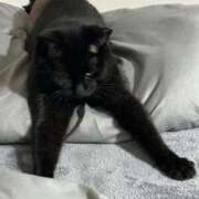 ヒメ日記 2026/03/27 18:16 投稿 かえで 横浜ひよこ倶楽部