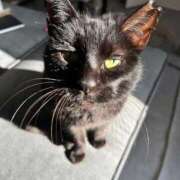 ヒメ日記 2026/03/28 18:23 投稿 かえで 横浜ひよこ倶楽部