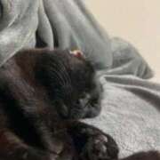 ヒメ日記 2026/03/29 18:06 投稿 かえで 横浜ひよこ倶楽部